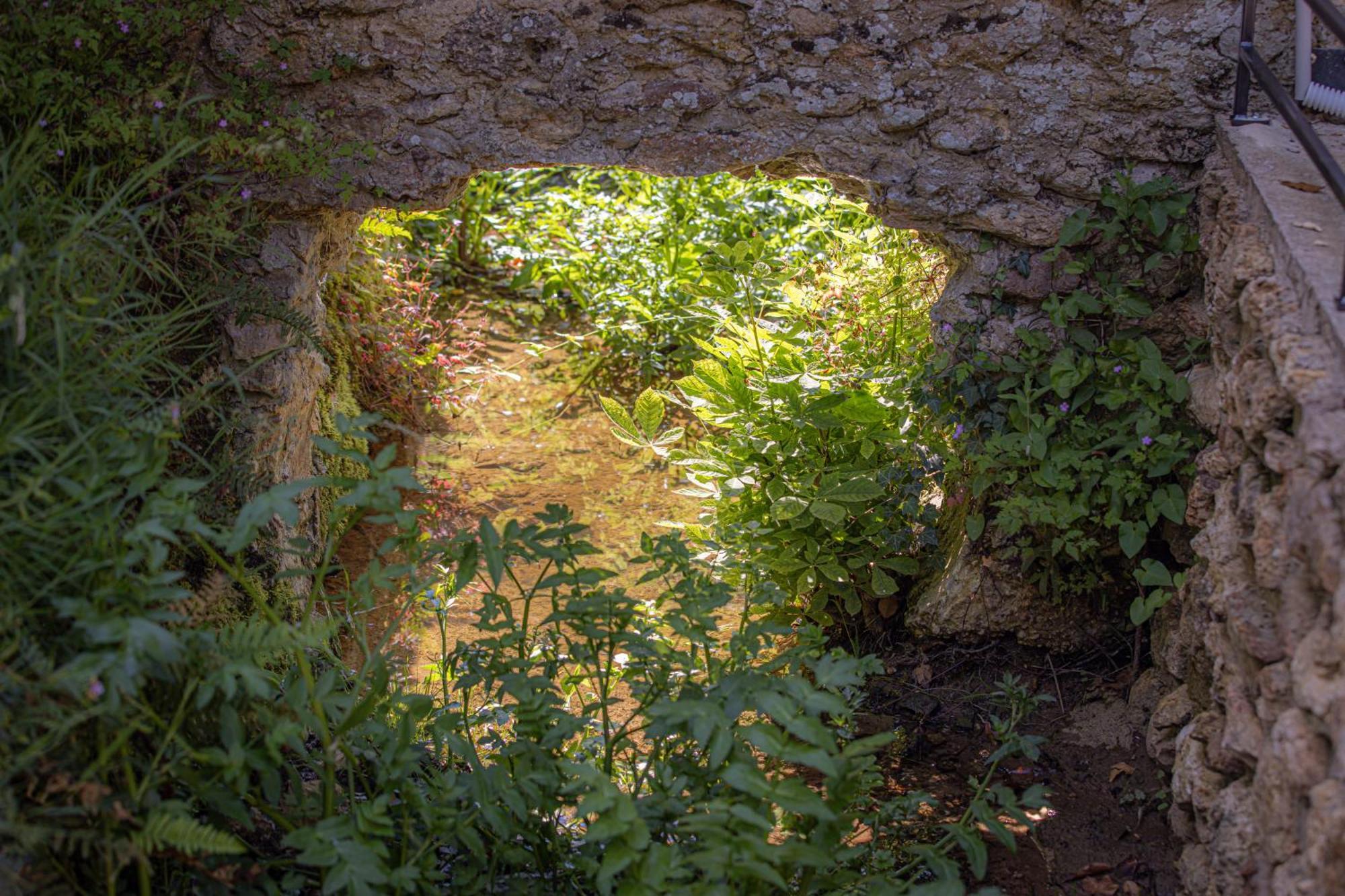 Le Ru De Biche - 20Min Disney - Spa Du 01 05 Au 01 11 - Paisible Guerard Экстерьер фото